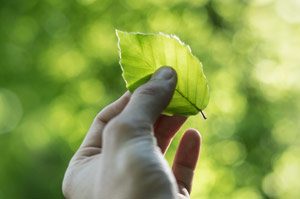 duurzaamheid-en-participatie